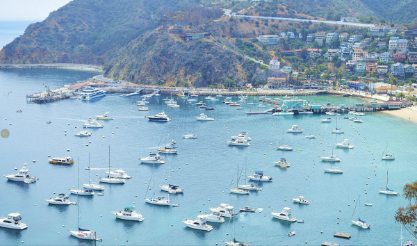 53c9eb63c00b9e907683041ab8f9eb6c_1768324724_753.png